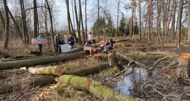 Petycja mieszkańców w sprawie ratowania lasu w Charzykowach