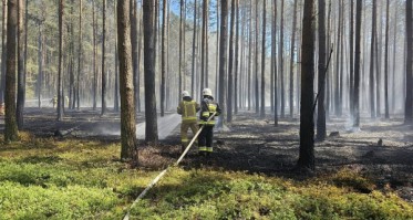 Pożary lasów w regionie. Ogień pojawił się w Parku Narodowym 'Bory Tucholskie' i w Nowej Cerkwi