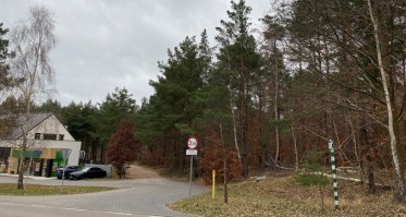 Wycinka drzew w Charzykowach. Mieszkańcy pytają, komu przeszkadzały młode brzózki?