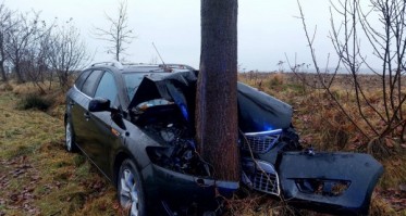 Zjechała z drogi i uderzyła w drzewo
