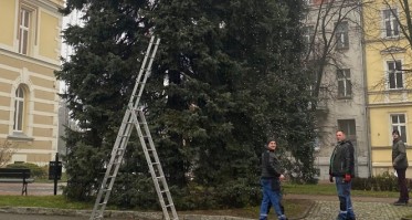 Rozświetlają choinki przed Starostwem w Chojnicach 