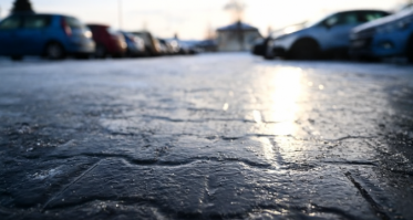 13 połamanych. Burmistrz Chojnic zaprasza do urzędu