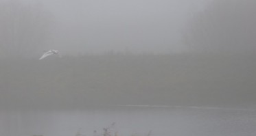 Uwaga! Gęsta mgła!