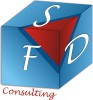 FDS-CONSULTING