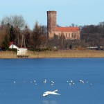 Jezioro Łazienkowskie w Człuchowie