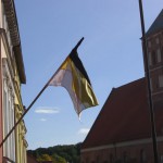 Flaga miasta została przyjęta przez radnych w 1995 roku.